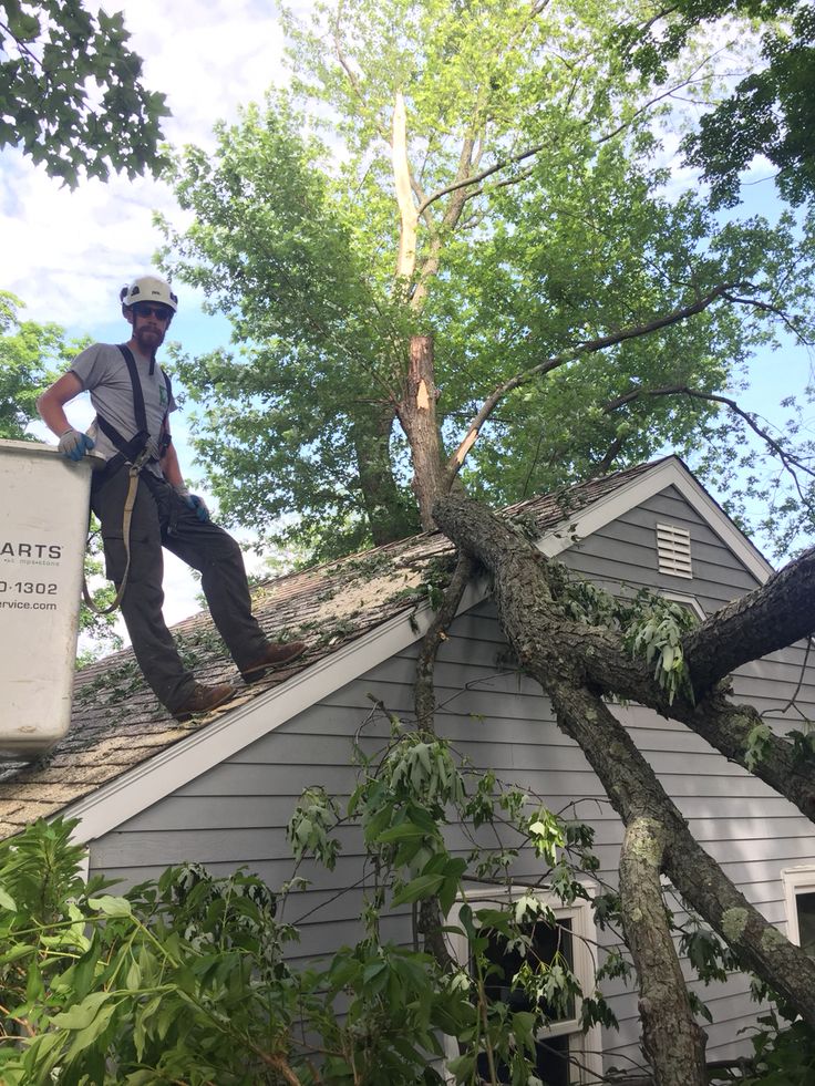 Storm and hail damage inspection by Stonebridge Roofing & Restoration